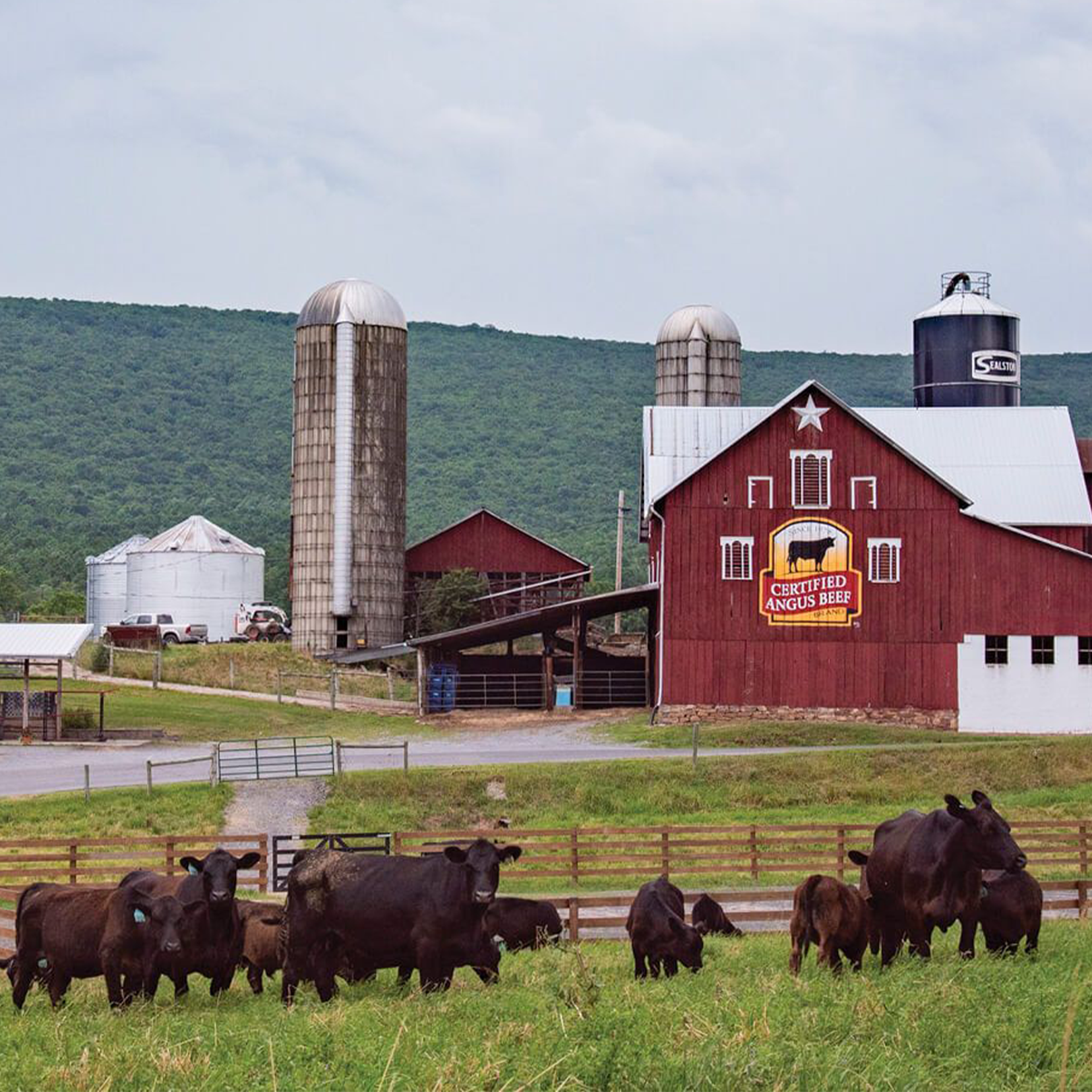 Chatel Farms