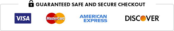 Safe And Secure Logo